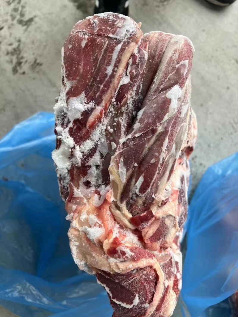 牛腱子坂冻牛腱子纯干无水质量好出成高全国发货中