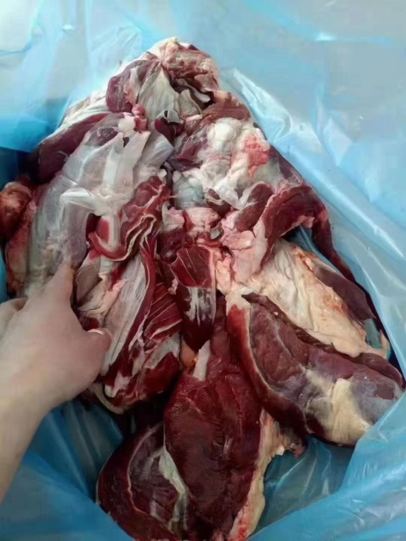 牛腱子坂冻牛腱子纯干无水质量好出成高全国发货中