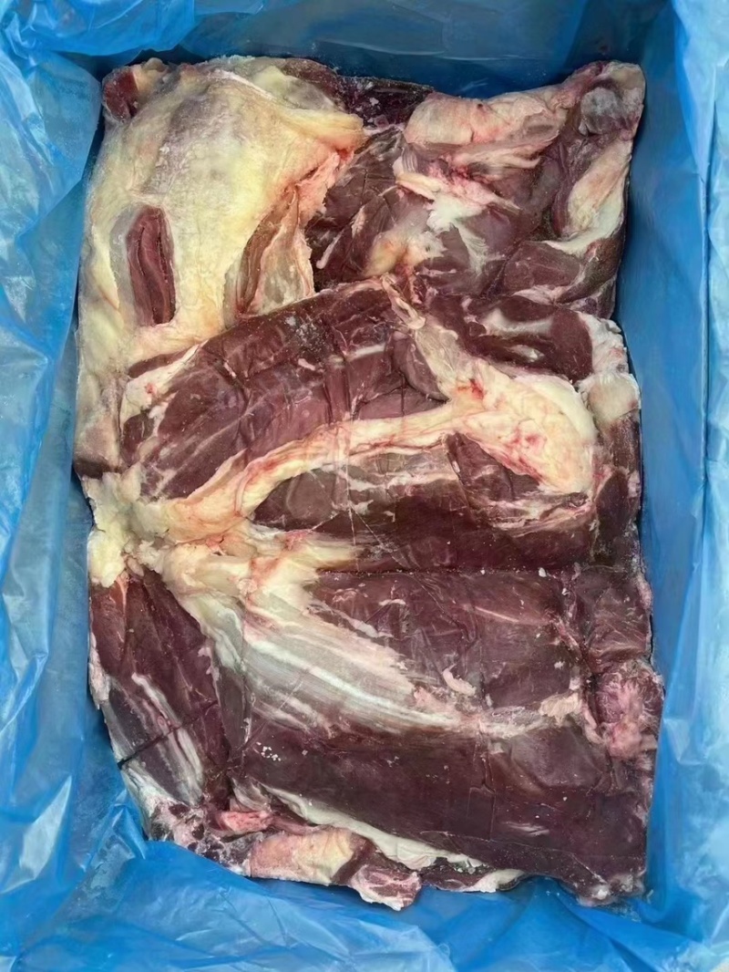 牛腱子坂冻牛腱子纯干无水质量好出成高全国发货中