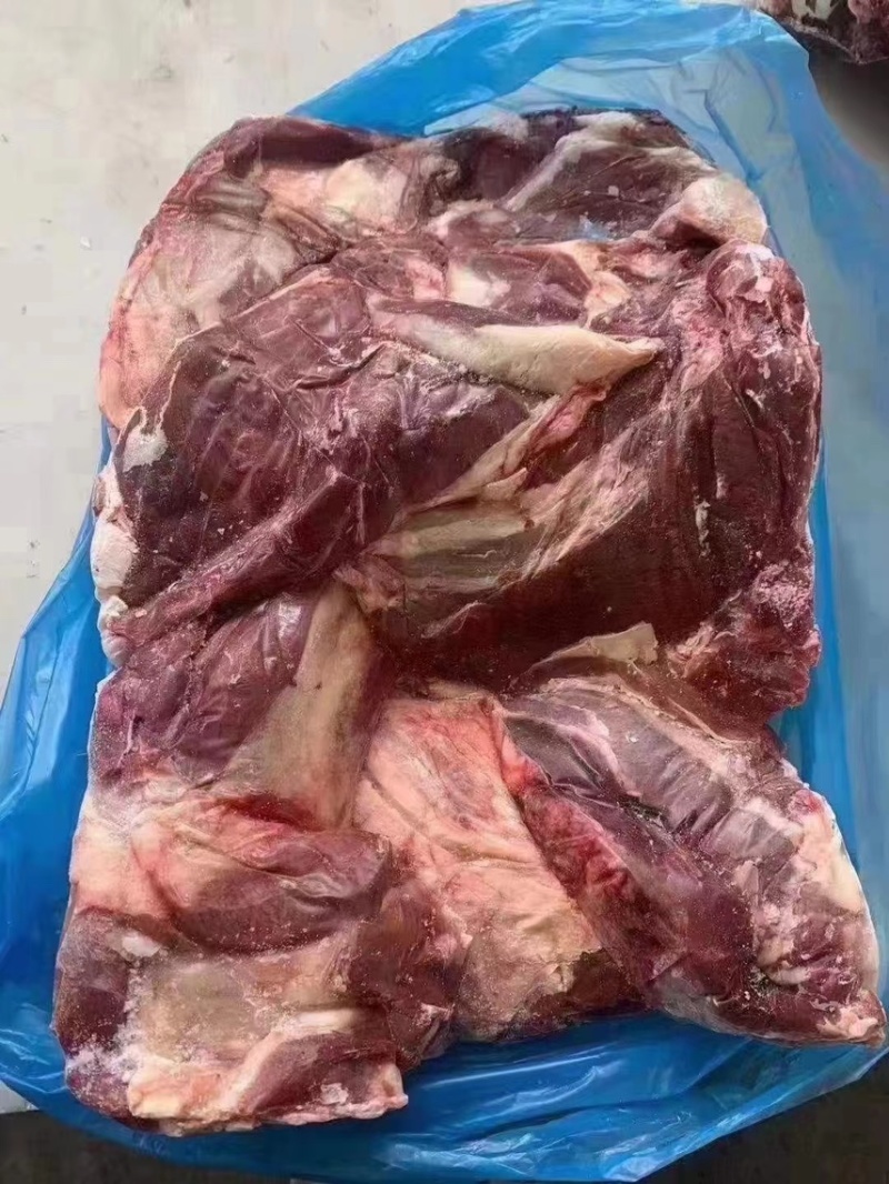牛腱子坂冻牛腱子纯干无水质量好出成高全国发货中
