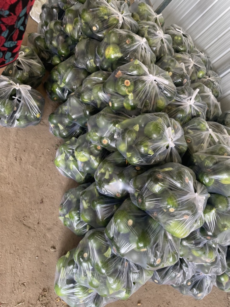 需要的朋友可以联系我