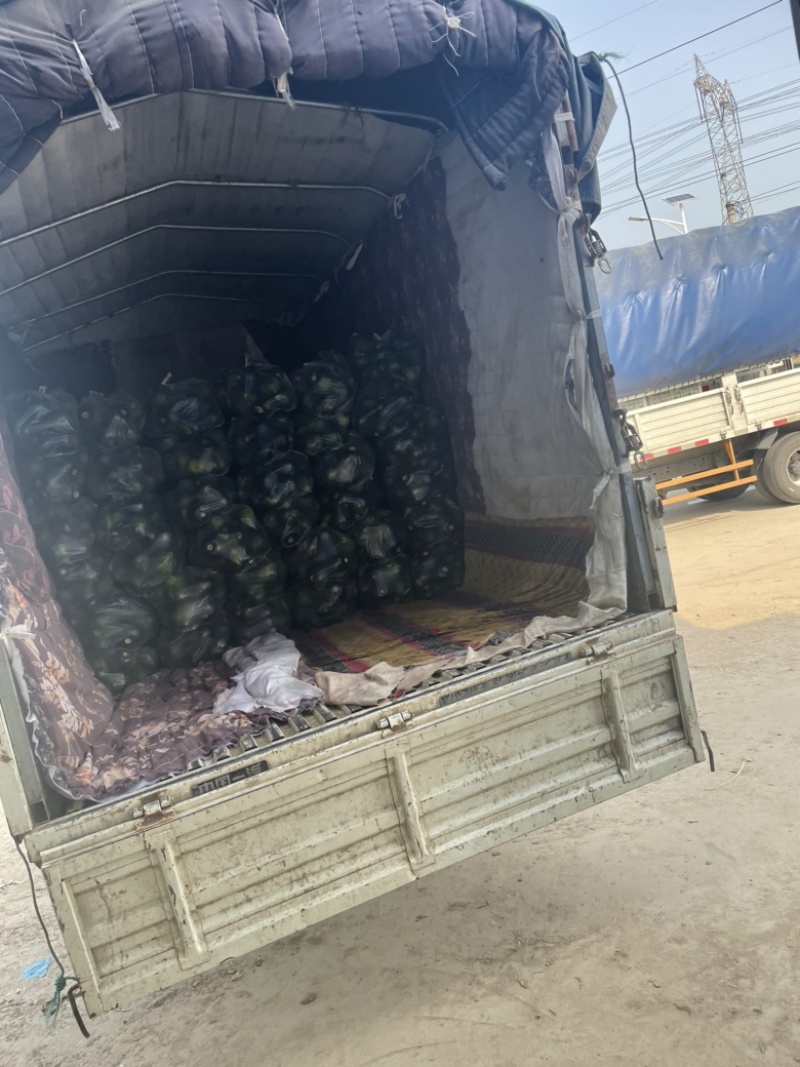 需要的朋友可以联系我