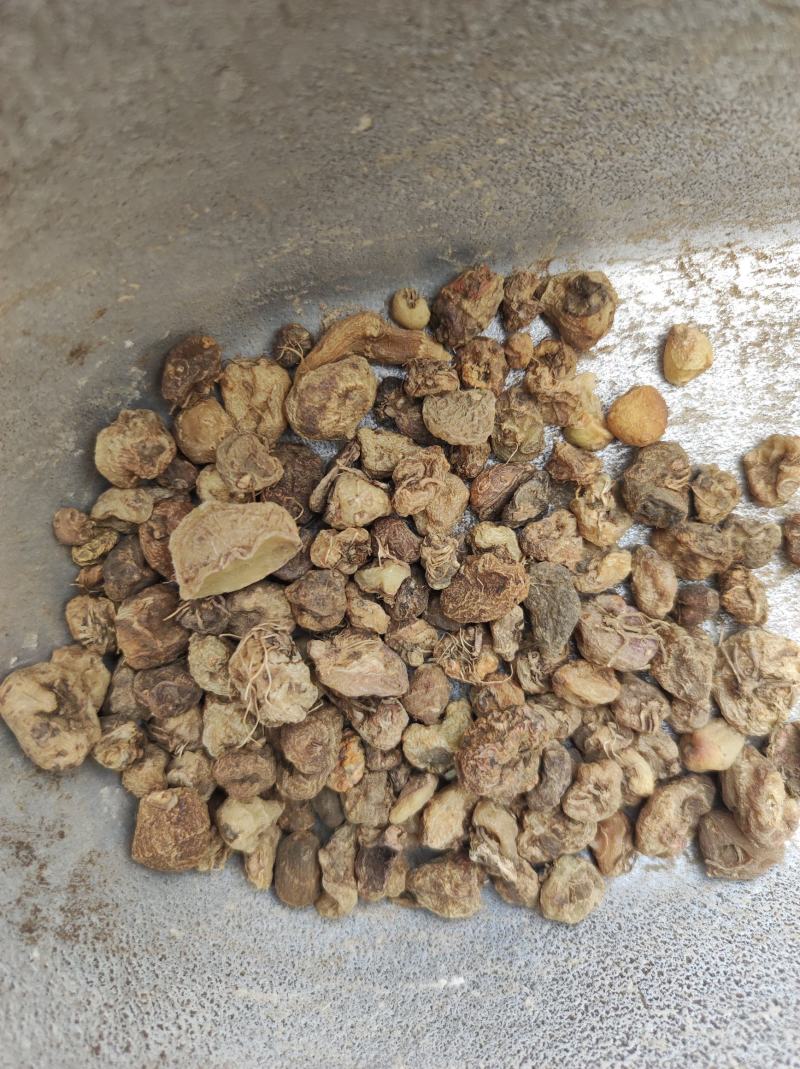 毛慈菇冰球子货好量大不满意保退换数量有限