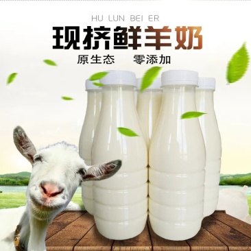 鲜羊奶非巴氏物理杀菌