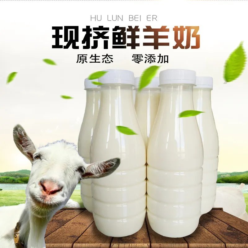 鲜羊奶非巴氏物理杀菌