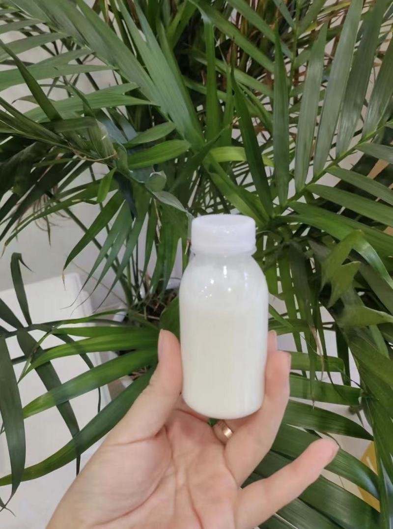 鲜羊奶非巴氏物理杀菌