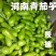 精选河南大棚青茄子、绿茄青茄内黄青茄大量上市品质好规格