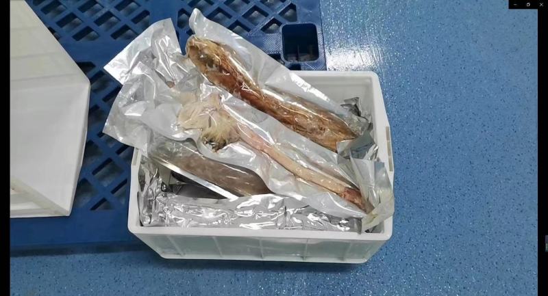 双阳鹿乡正品加强版鹿鞭丸鹿鞭膏量大从优鹿厂直供男性