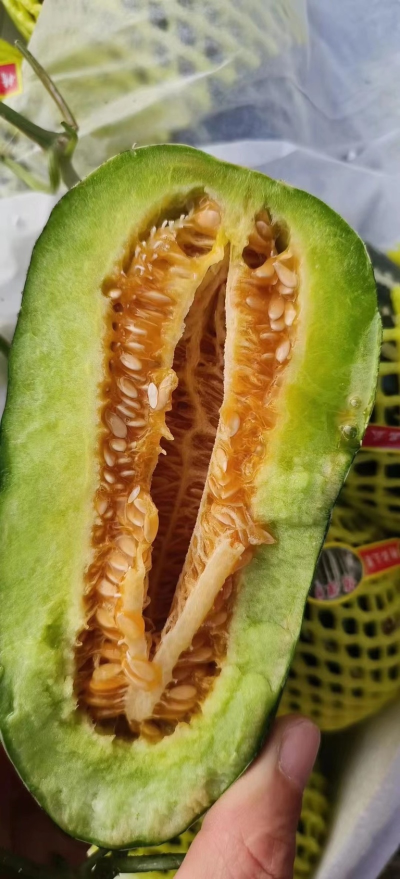 潍坊羊角蜜甜瓜口感好价格优按需配货产地一条龙服务