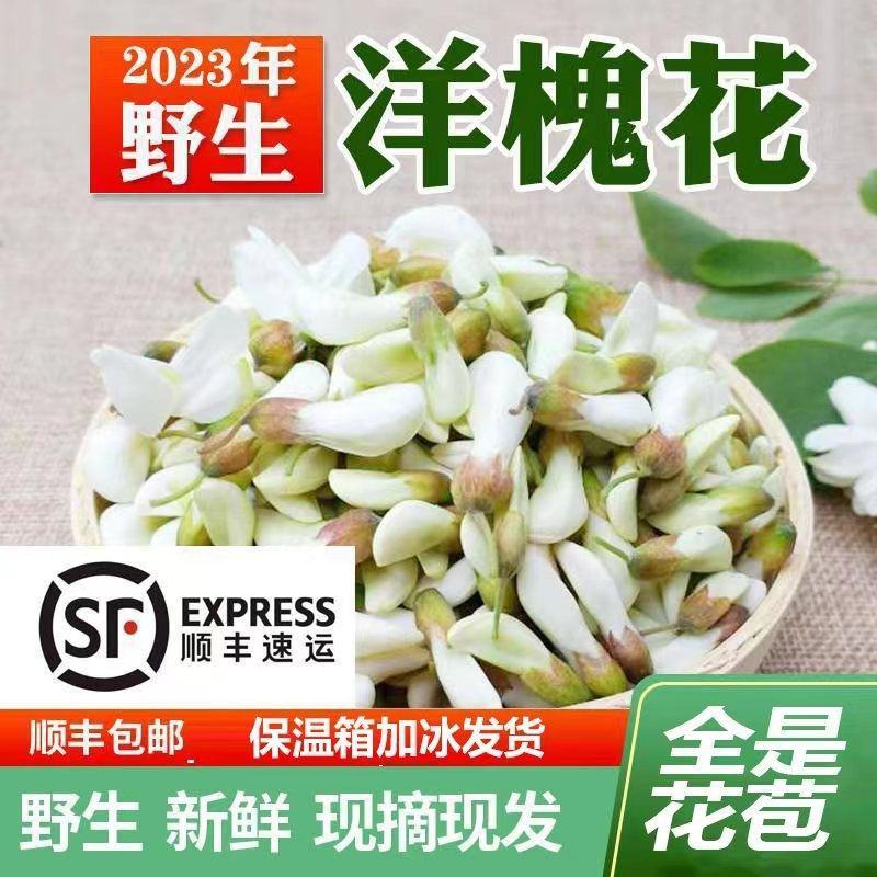 2023年新鲜洋槐花现摘现发野生杨槐纯花骨朵花苞槐米蔬菜