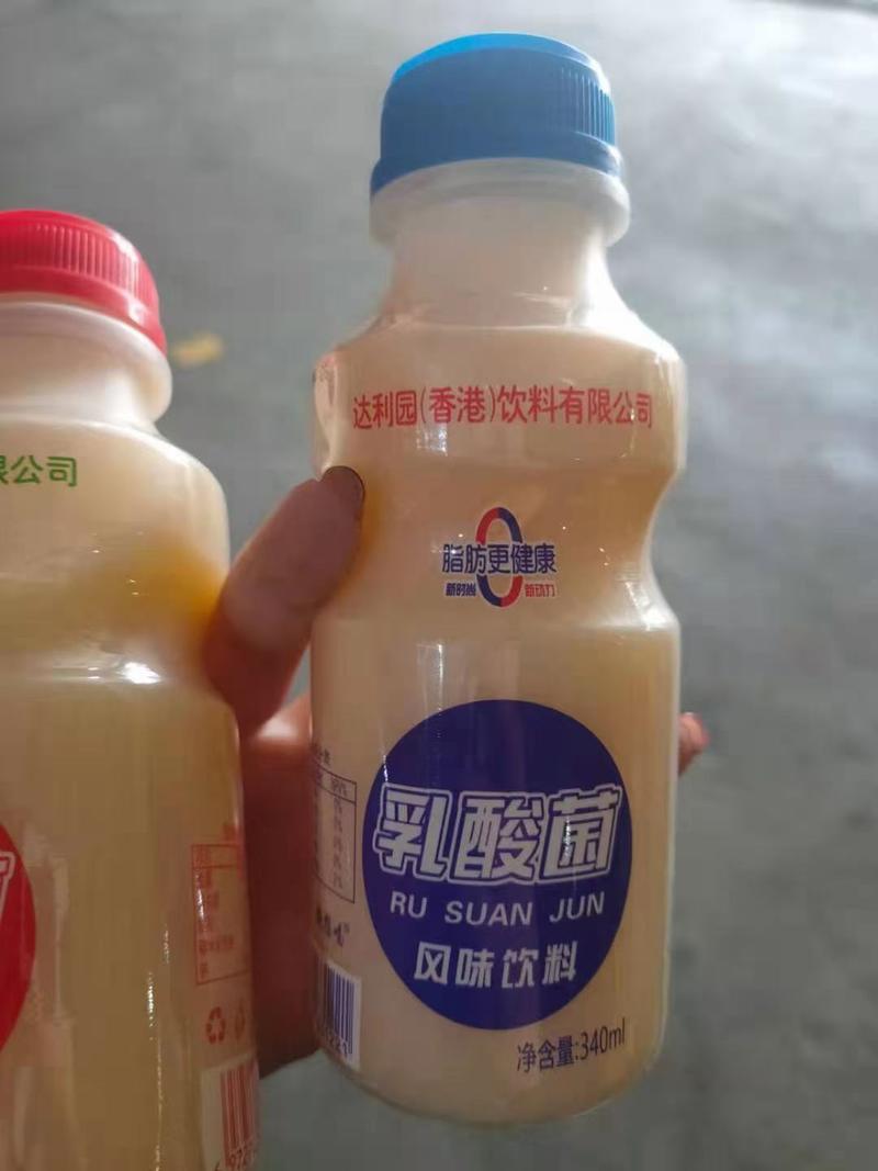 香港达利园乳酸菌340ML一件12瓶原味草莓味乳酸菌货源
