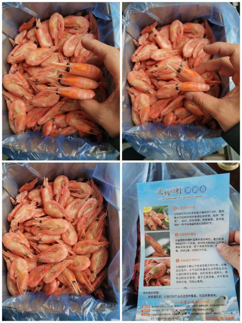 北极甜虾