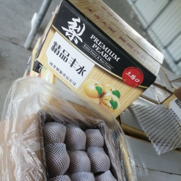 晚秋黄梨，筐装30斤，量大