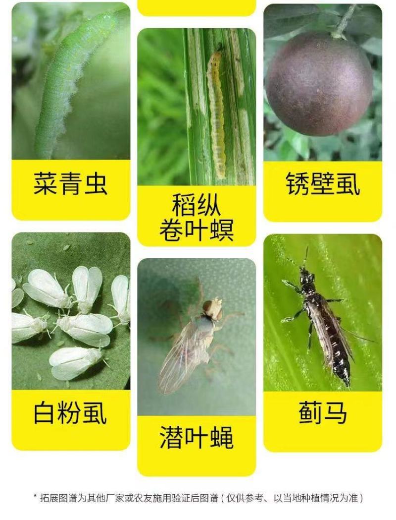 12%虫螨腈虱螨脲农药虫螨晴菜青虫稻飞虱菜蛾玉米螟钻心虫