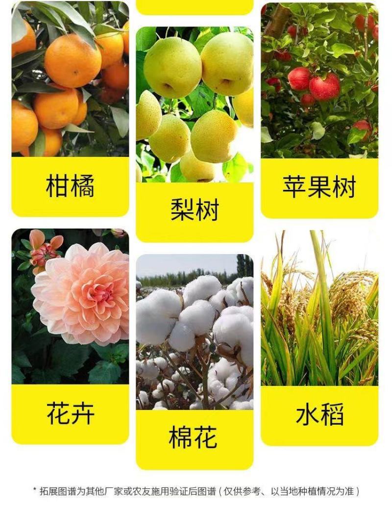 12%虫螨腈虱螨脲农药虫螨晴菜青虫稻飞虱菜蛾玉米螟钻心虫