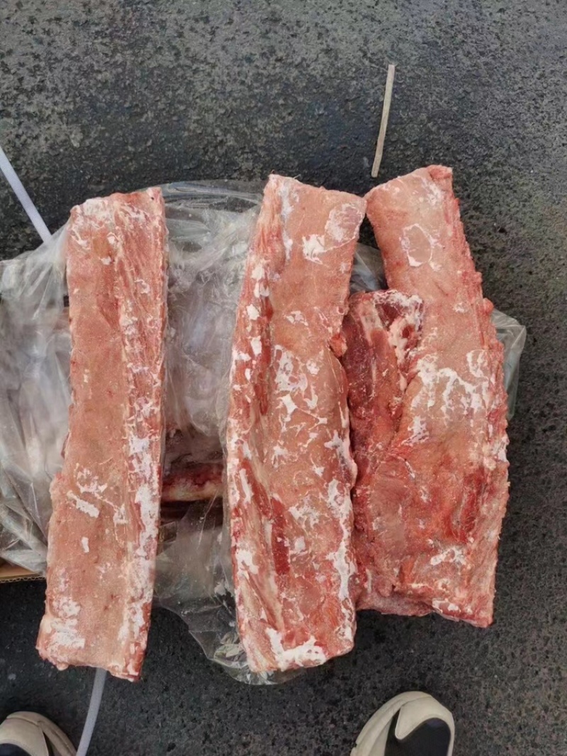 多肉龙骨一手货源证件齐全全国发货食材供应
