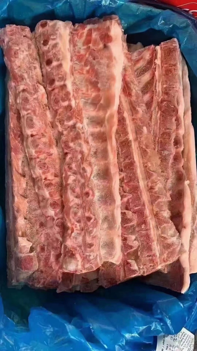 多肉龙骨一手货源证件齐全全国发货食材供应