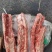 多肉龙骨一手货源证件齐全全国发货食材供应