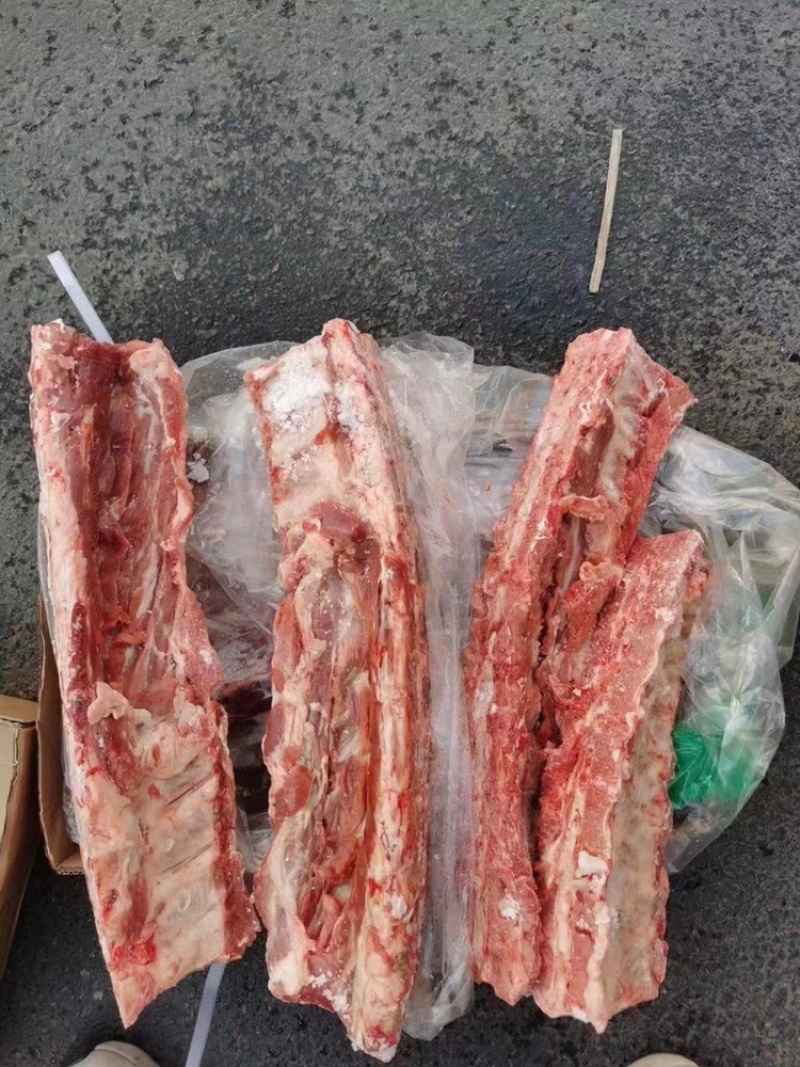 多肉龙骨一手货源证件齐全全国发货食材供应