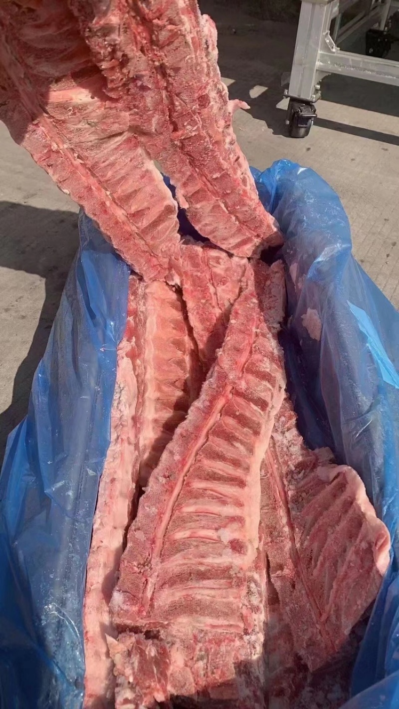 多肉龙骨一手货源证件齐全全国发货食材供应