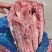 多肉龙骨一手货源证件齐全全国发货食材供应