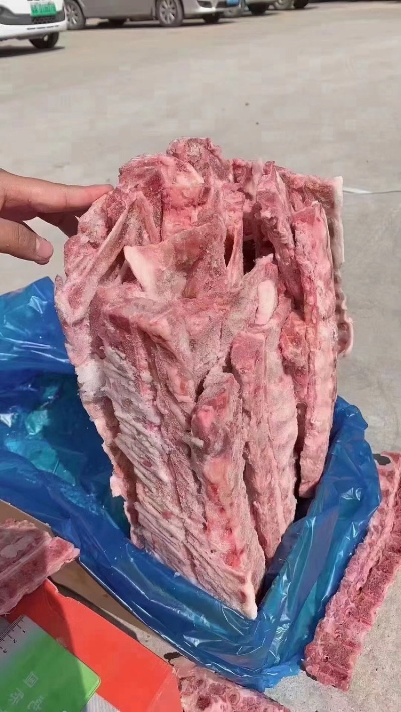 多肉龙骨一手货源证件齐全全国发货食材供应