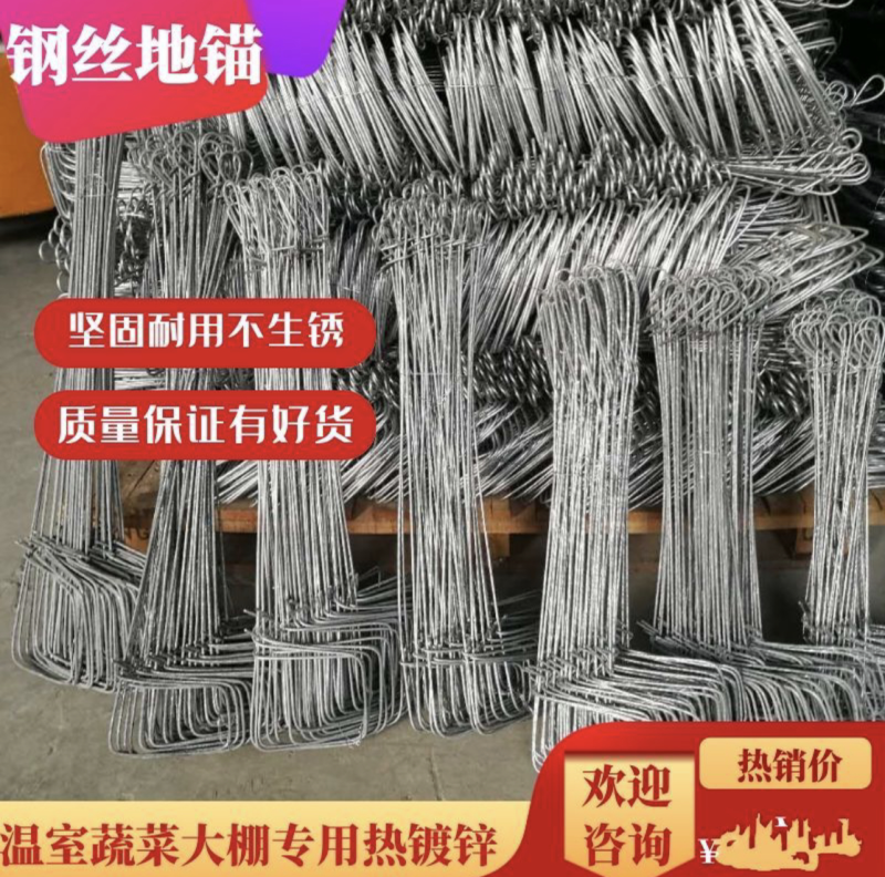 大棚地锚