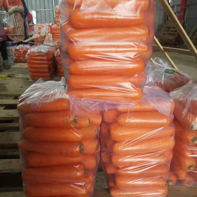 河北邯郸胡萝卜原产地发货一手货源批发品质保证价格美丽！