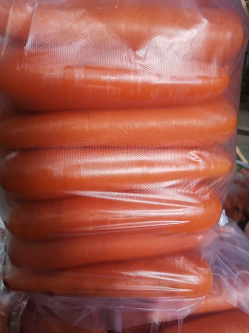 河北邯郸胡萝卜原产地发货一手货源批发品质保证价格美丽！