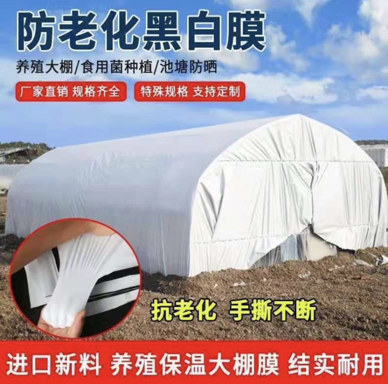 大棚黑白膜