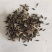 蛇鞭菊种子紫粉色麒麟菊花种子多年生花卉耐寒耐热四季易