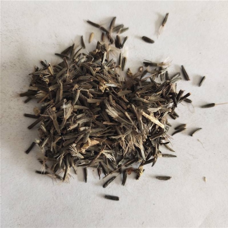蛇鞭菊种子紫粉色麒麟菊花种子多年生花卉耐寒耐热四季易