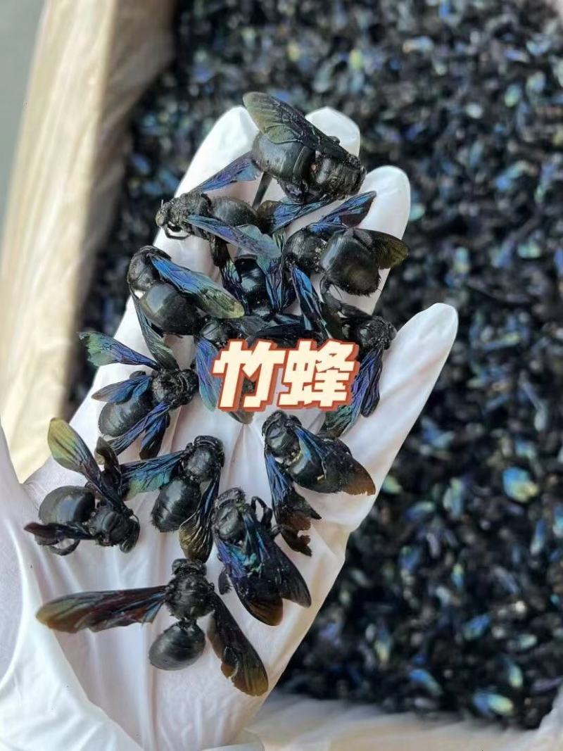 竹蜂