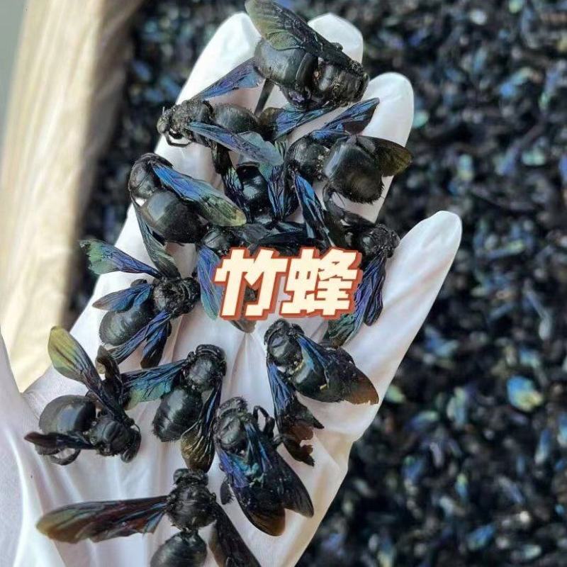 竹蜂