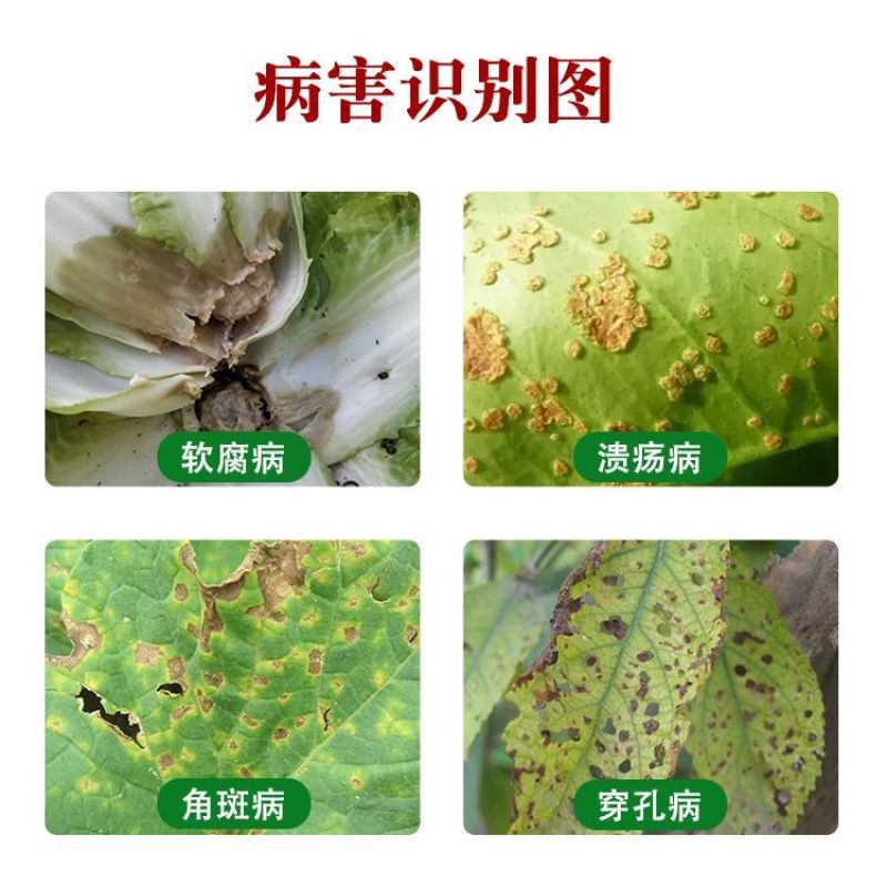 33%春雷霉素喹啉铜溃疡细菌性角斑病流胶软腐穿孔杀菌剂