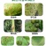 33%春雷霉素喹啉铜溃疡细菌性角斑病流胶软腐穿孔杀菌剂