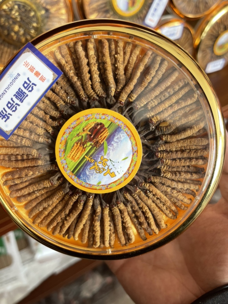 青海玉树精选小草