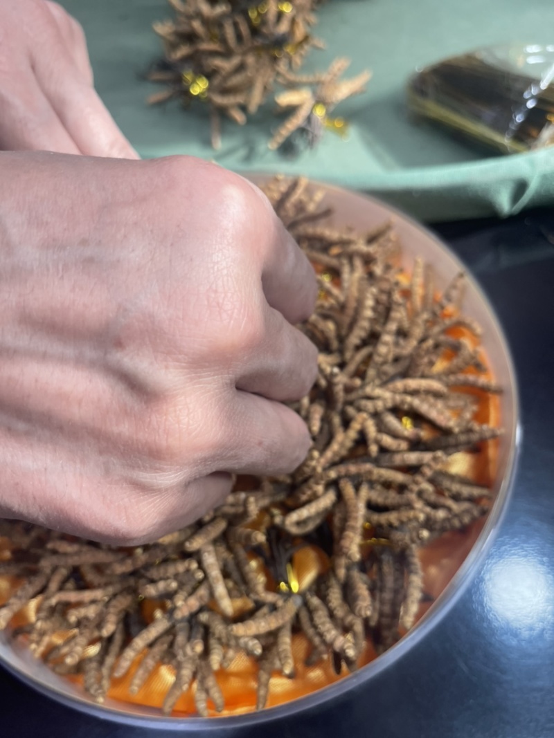 青海玉树精选小草