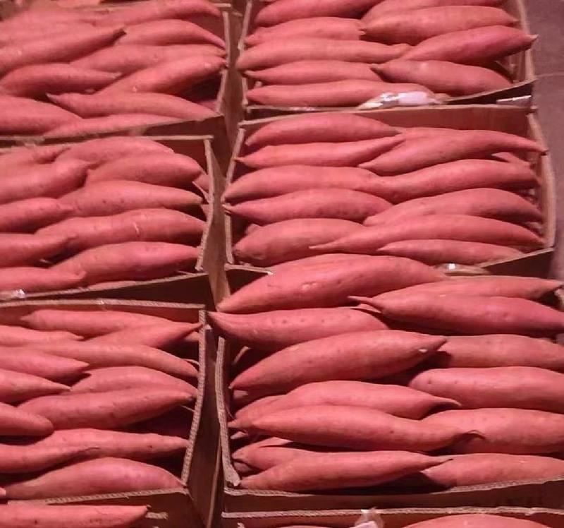 广西精品西瓜红大量上市原产地实发支持视频看货