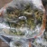 水果萝卜条自然风干无添加剂全囯发货品质好