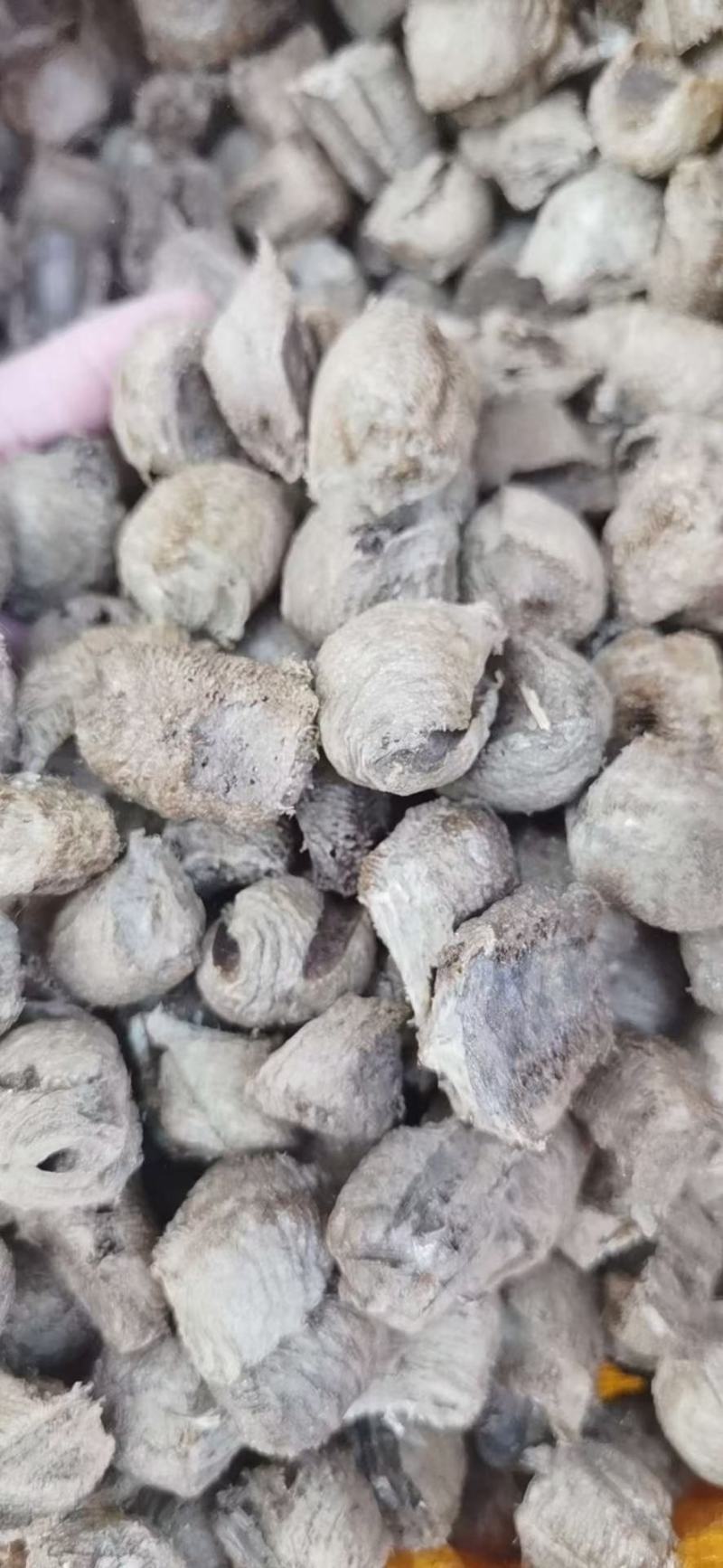 熟桑螵蛸桑螵蛸中药生桑螵蛸螳螂蛋可打粉自产自销按方抓药