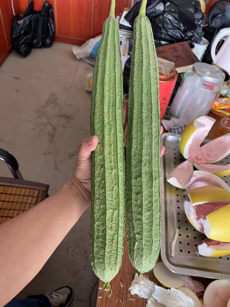 广西丝瓜苦瓜青瓜豆角香产地直供货一手货源全国发货诚信经营