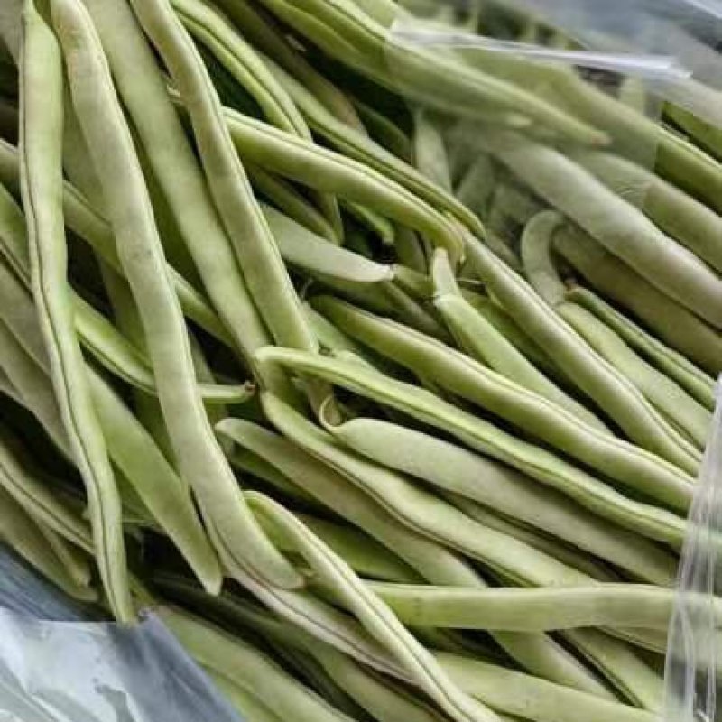 【优质】大棚菜，白不老，油豆红豆，大量上市中，一条龙服务