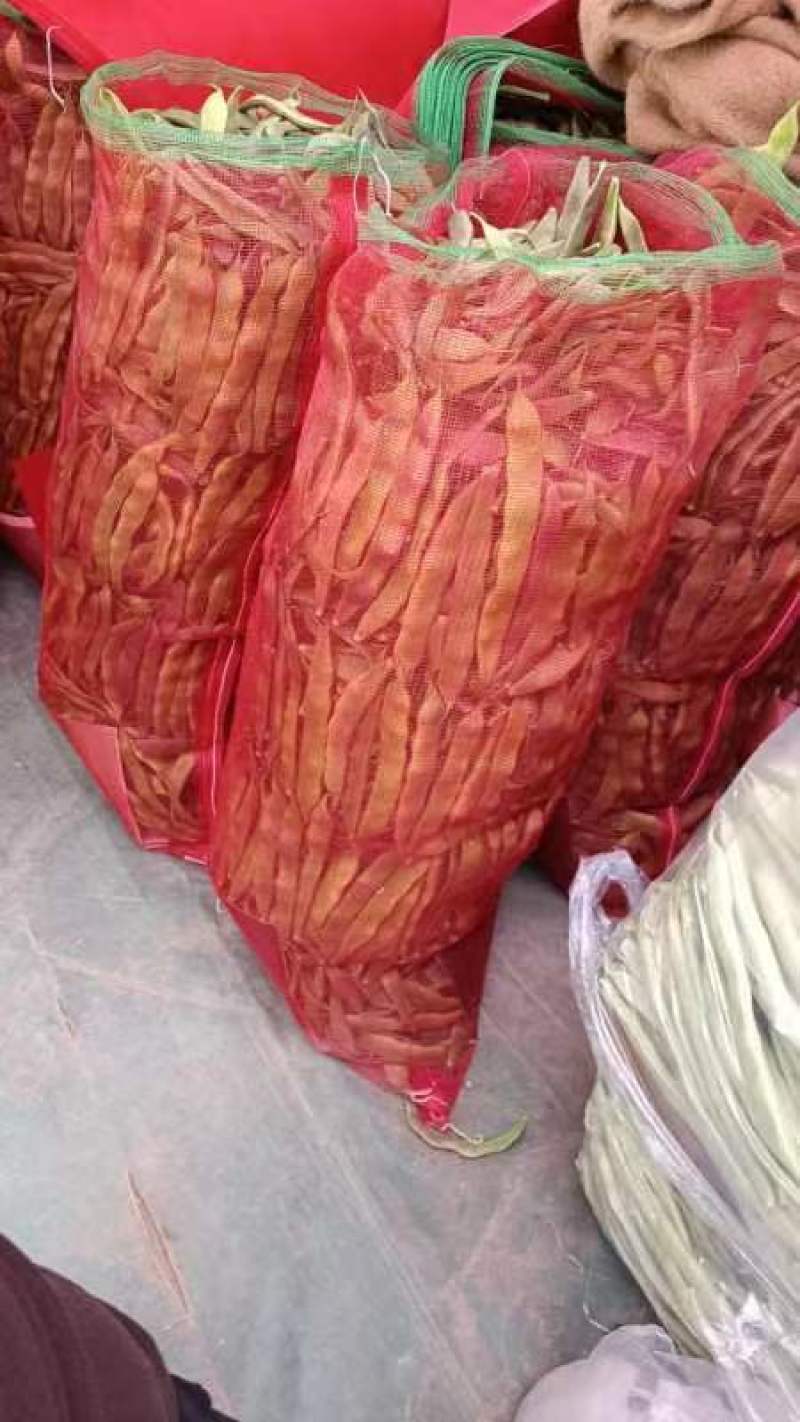 【优质】大棚菜，白不老，油豆红豆，大量上市中，一条龙服务