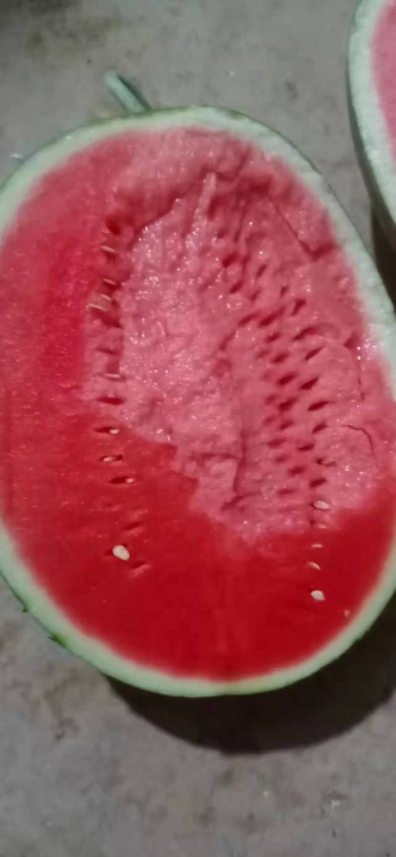 美都西瓜陕西西瓜规格齐全支持视频看货代发