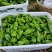 苏椒（芜湖椒）大量供应、质量保证、支持各种包装。