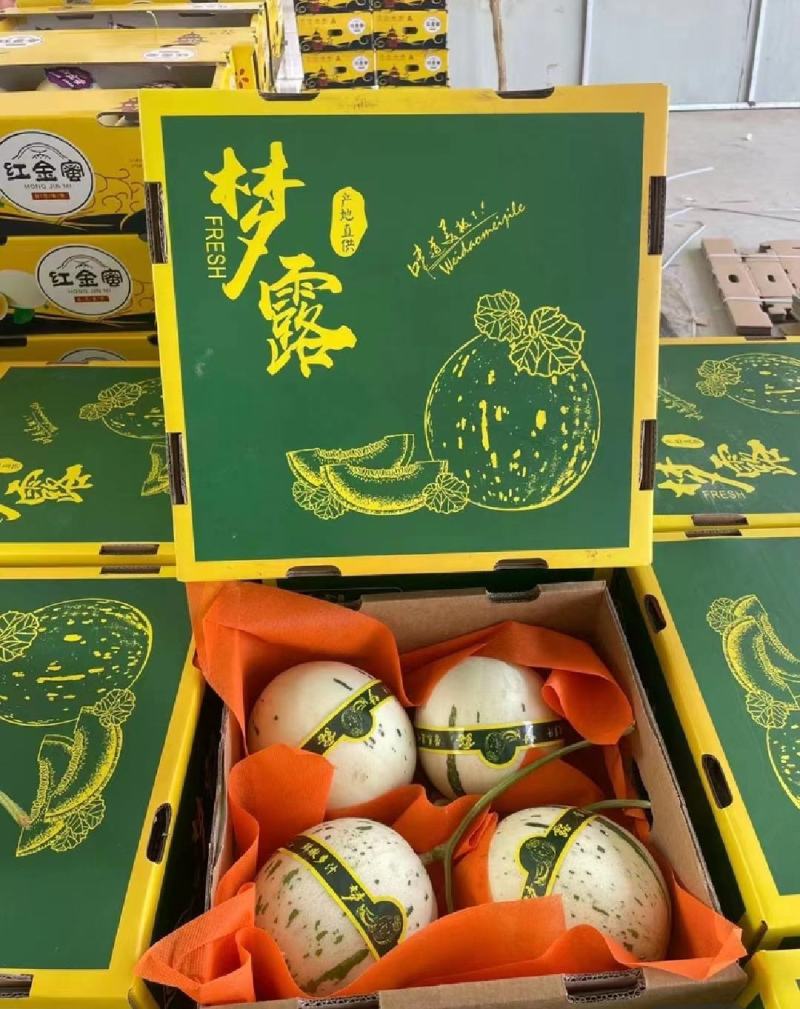 【16万亩基地】流星蜜露甜瓜月露香瓜高糖度耐运输