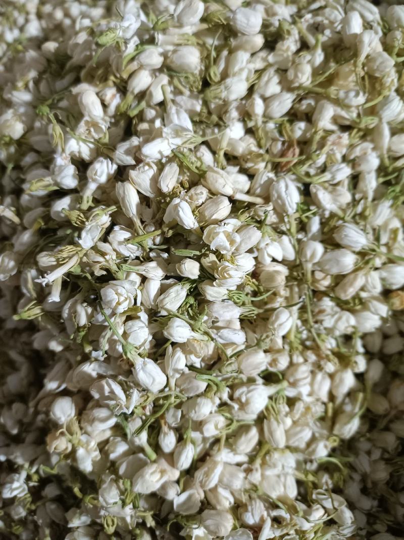 茉莉花，优质花呆，色鲜花香，货源充足，欢迎选购