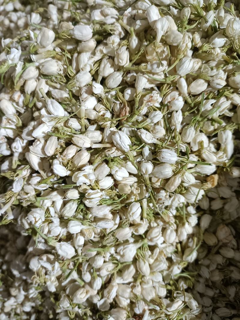 茉莉花，优质花呆，色鲜花香，货源充足，欢迎选购
