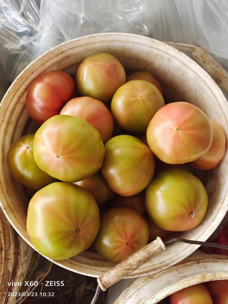 新开园天津本地水果西红柿酸甜沙瓤每天现摘提前预定